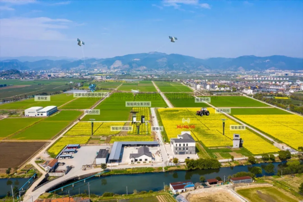 首提“农业新质出产力”，2025年中央一号文件在智慧农业领域传递了哪些沉要信号？