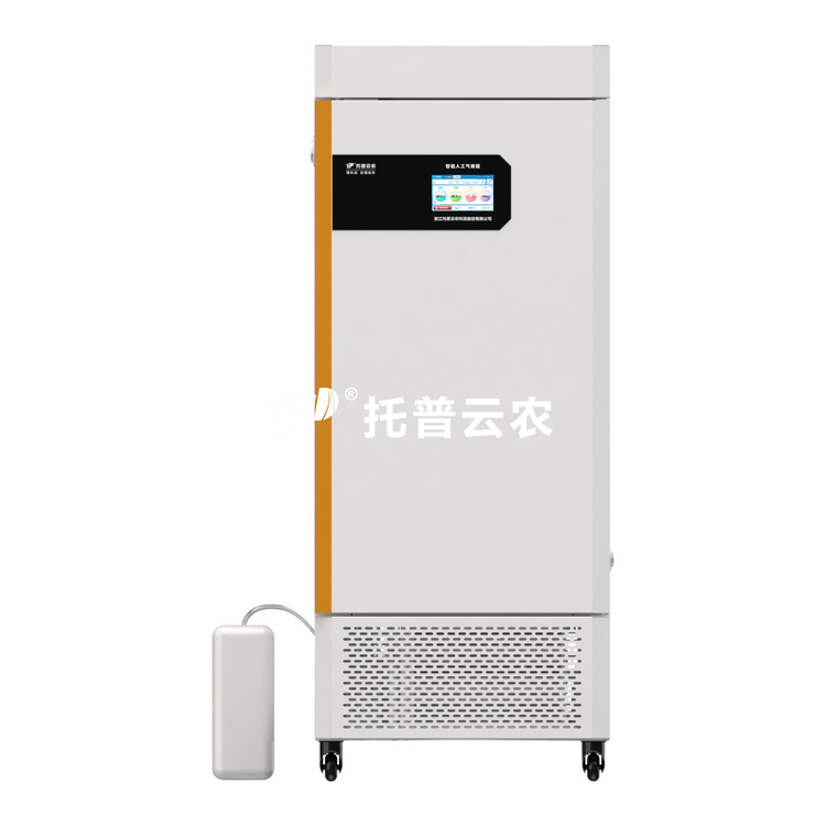 lewin乐玩官网-相信品牌力量