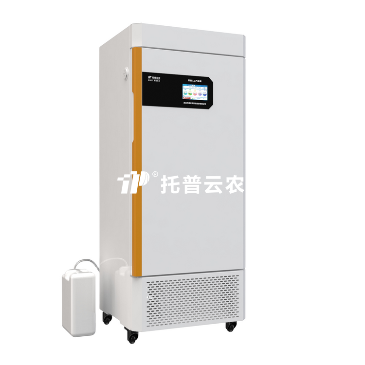 lewin乐玩官网-相信品牌力量