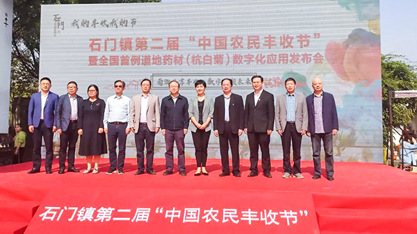 石门镇进行第二届“中国农夫丰登节”暨路地药材（杭白菊）数字化利用