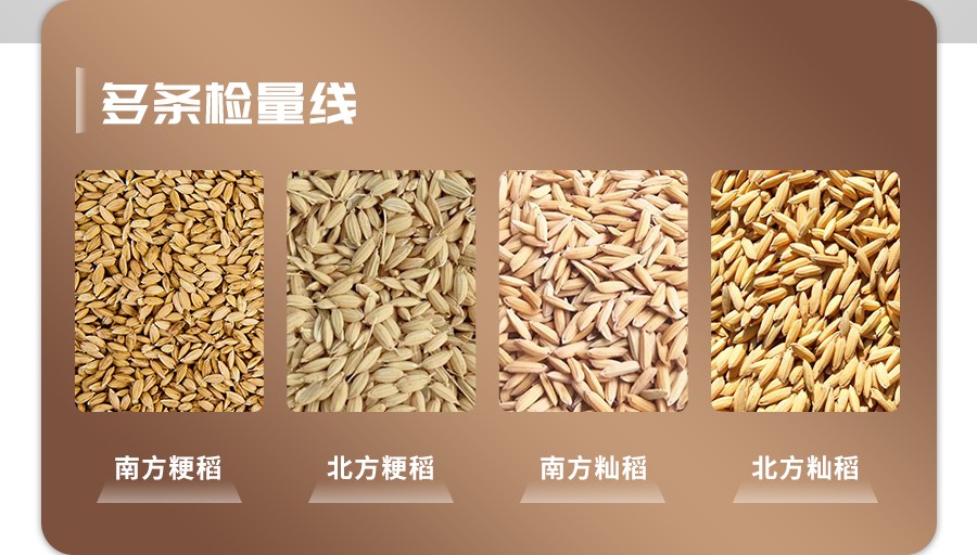 稻谷新鲜度测定仪 稻谷新鲜度测定仪