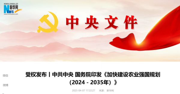 政策布景_副本.png