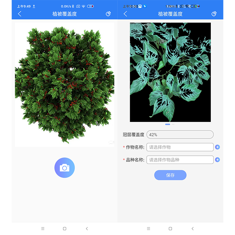 1756428592196475.png 丛林覆盖度.png