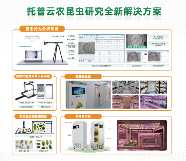 7虫豸全新解决规划_副本.png